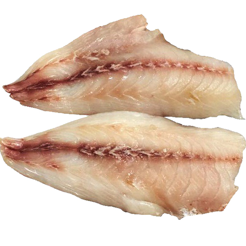 Unicorn - Reef Fishes