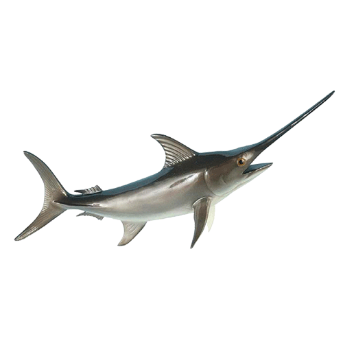 Sword- Pelagic Fishes